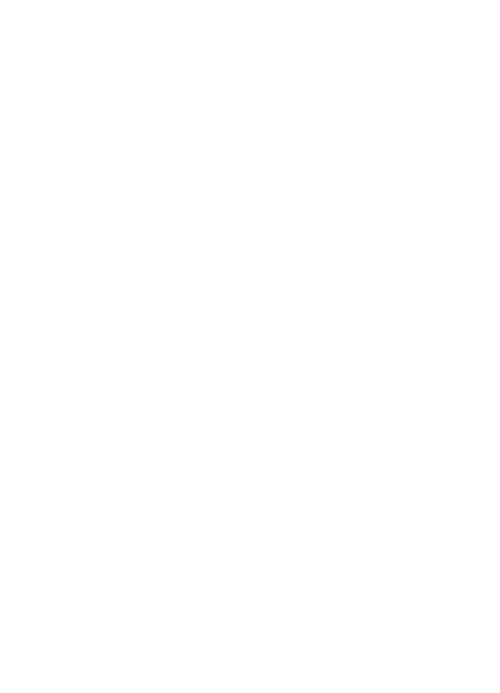 Narrow Door
